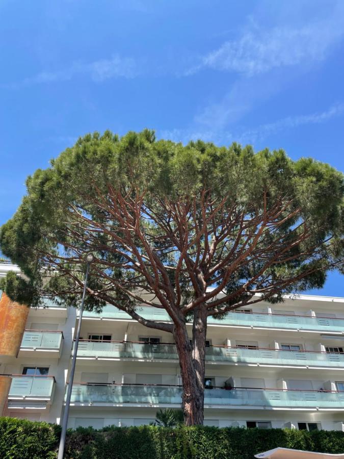 Superbe Studio Lumineux Sur Cannes Avec Terrasse ! A Quelques Minutes De La Celebre Rue D'Antibes ! Экстерьер фото